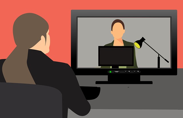 Cinco pressupostos que podem conferir habilidades para o exercício da função mentoria na EaD: pontos e contrapontos de vivências